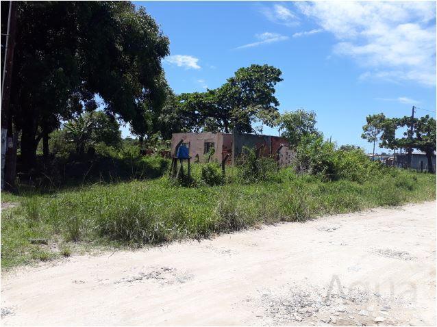 Terreno, 2600 m² - Foto 3