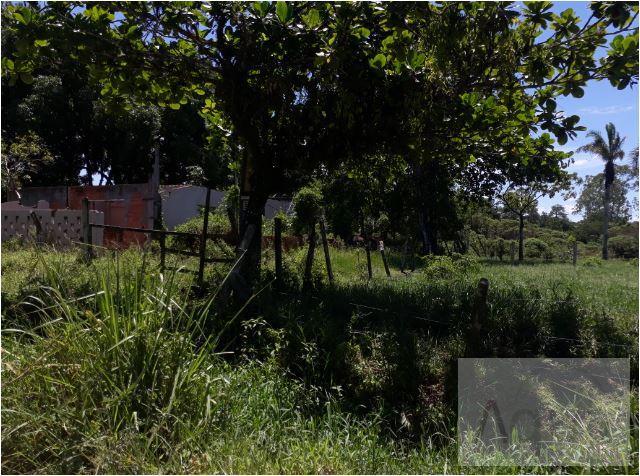 Terreno, 2600 m² - Foto 4