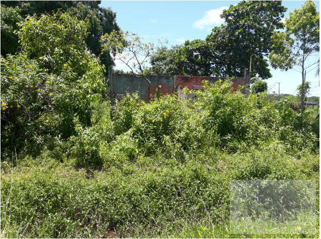 Terreno, 2600 m² - Foto 5