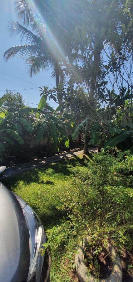 Casa, 5 quartos - Foto 13