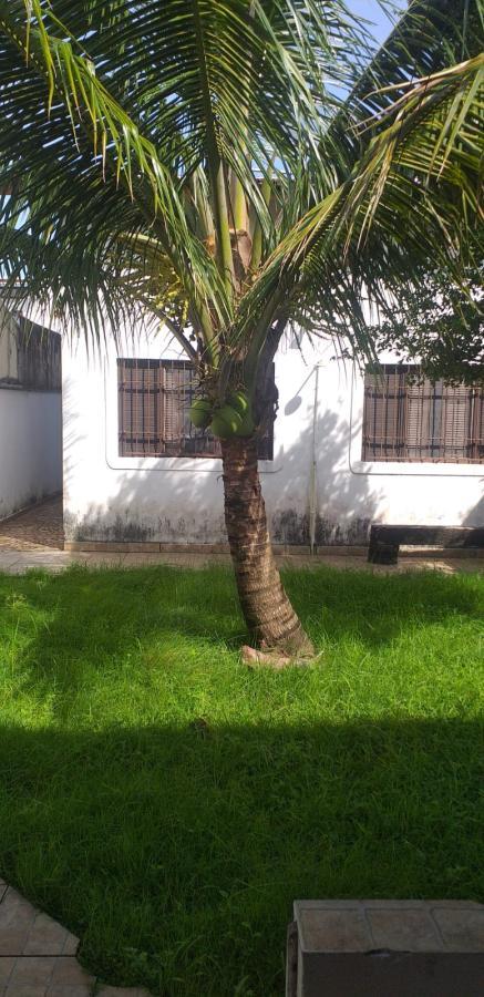 Casa, 4 quartos - Foto 7