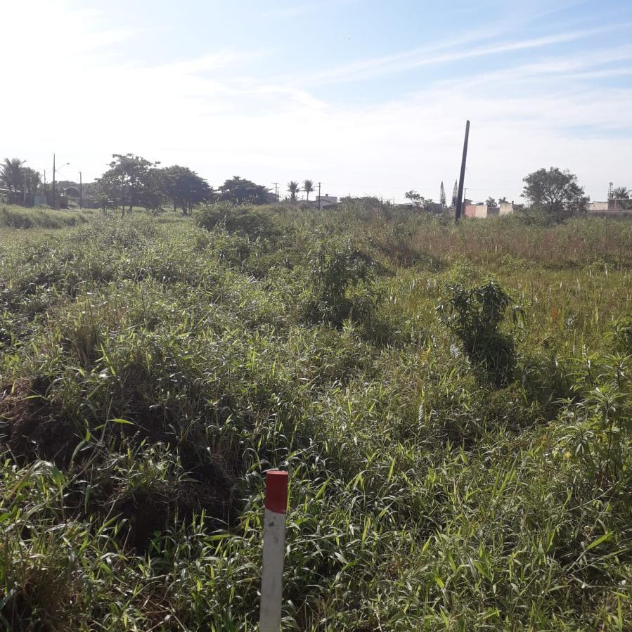 Terreno, 429 m² - Foto 10