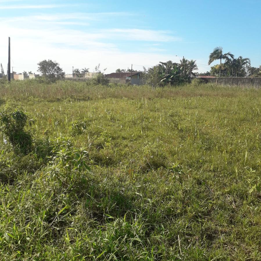 Terreno, 429 m² - Foto 9