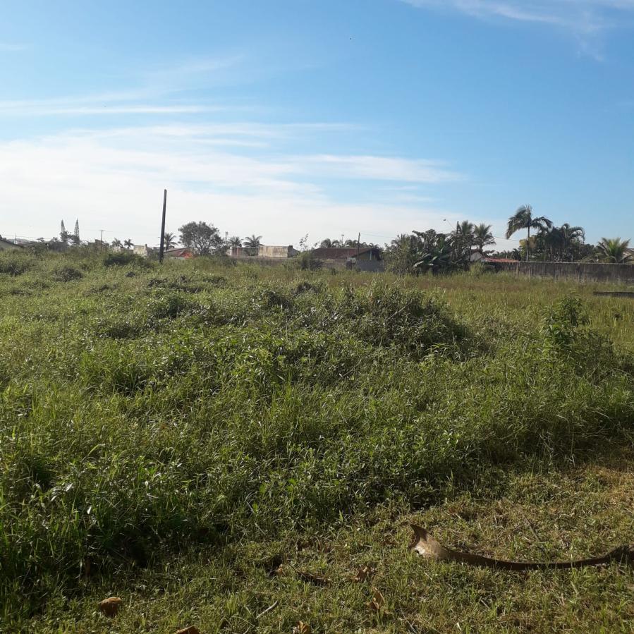 Terreno, 429 m² - Foto 6