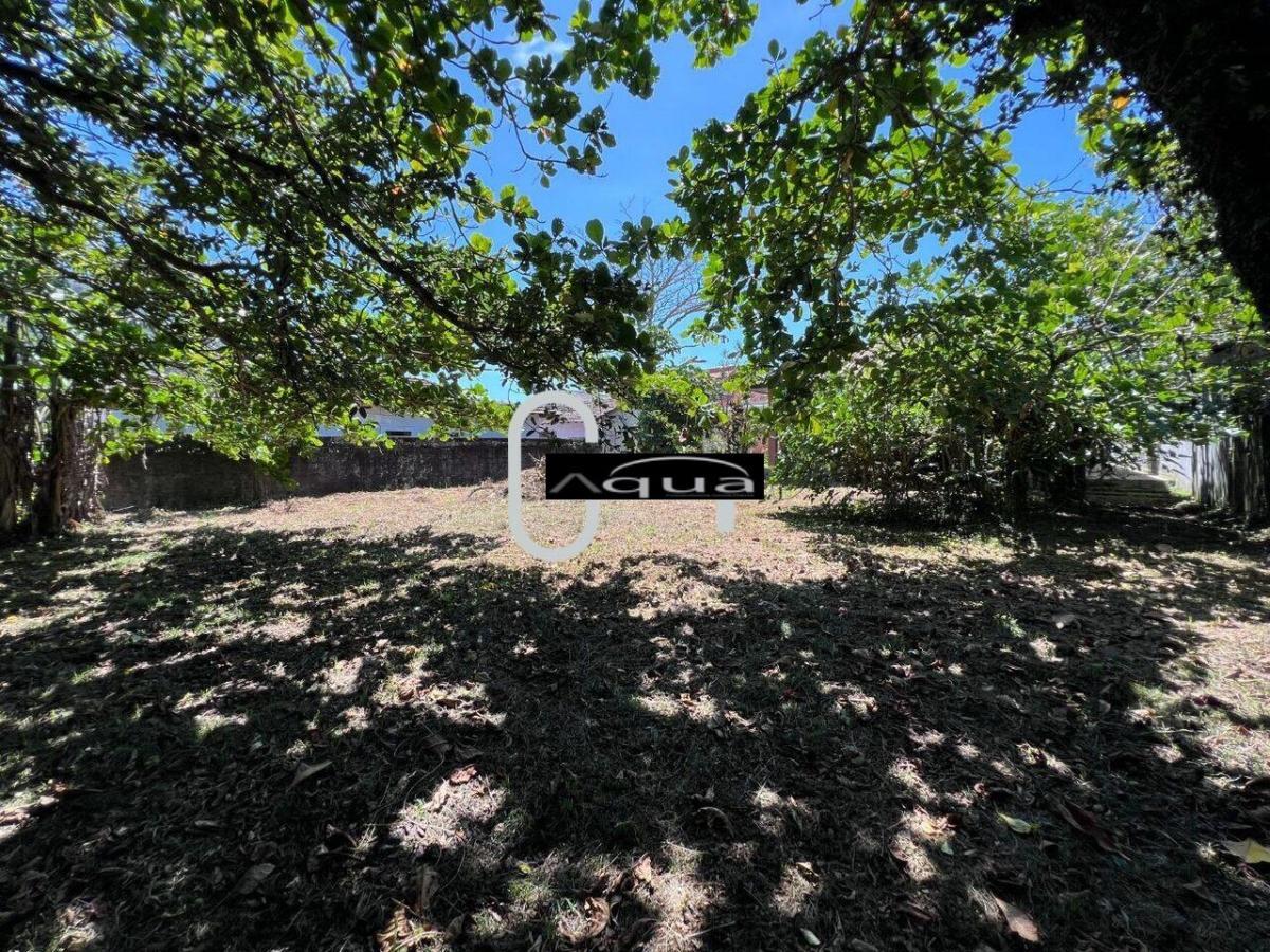 Casa, 3 quartos - Foto 30