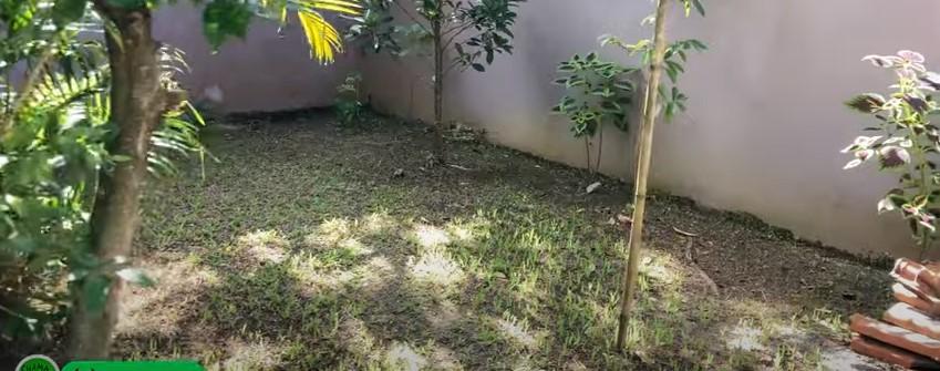 Casa, 3 quartos - Foto 17