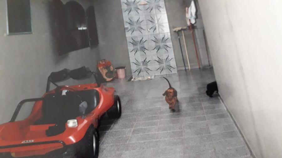 Casa, 3 quartos - Foto 12