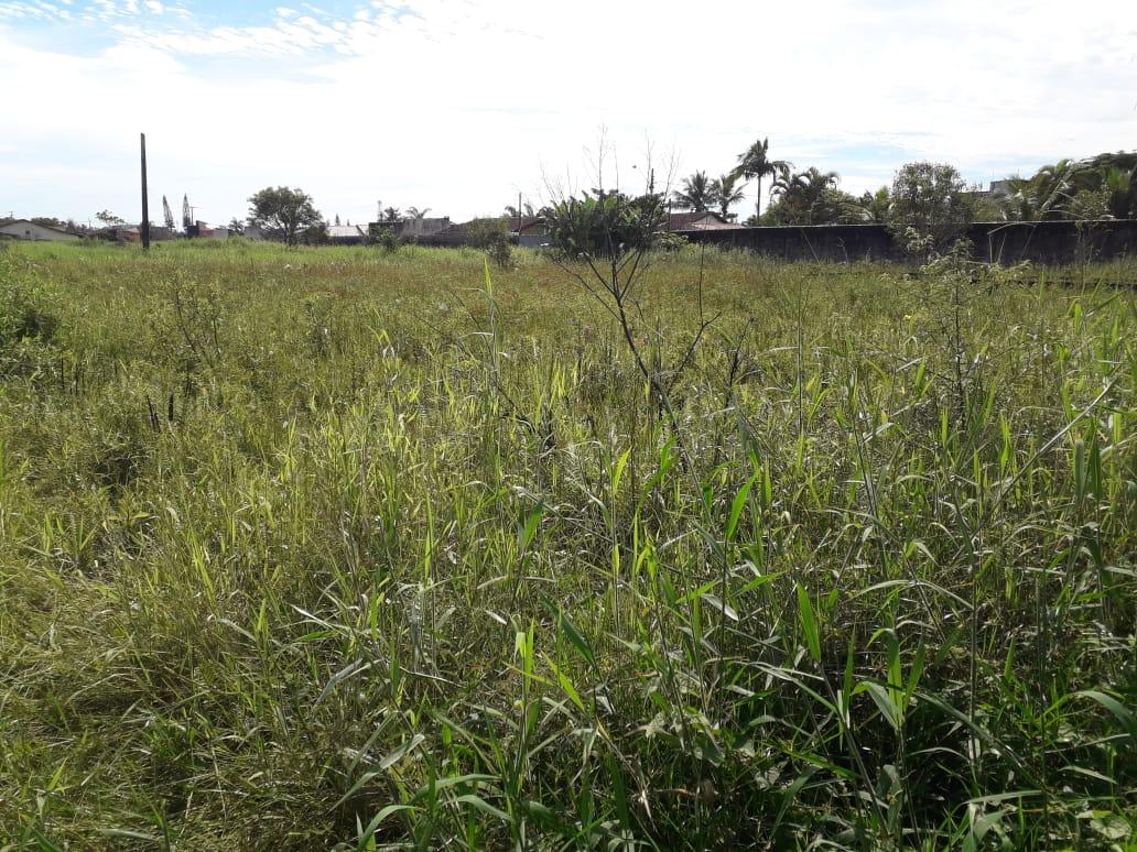 Terreno, 429 m² - Foto 18