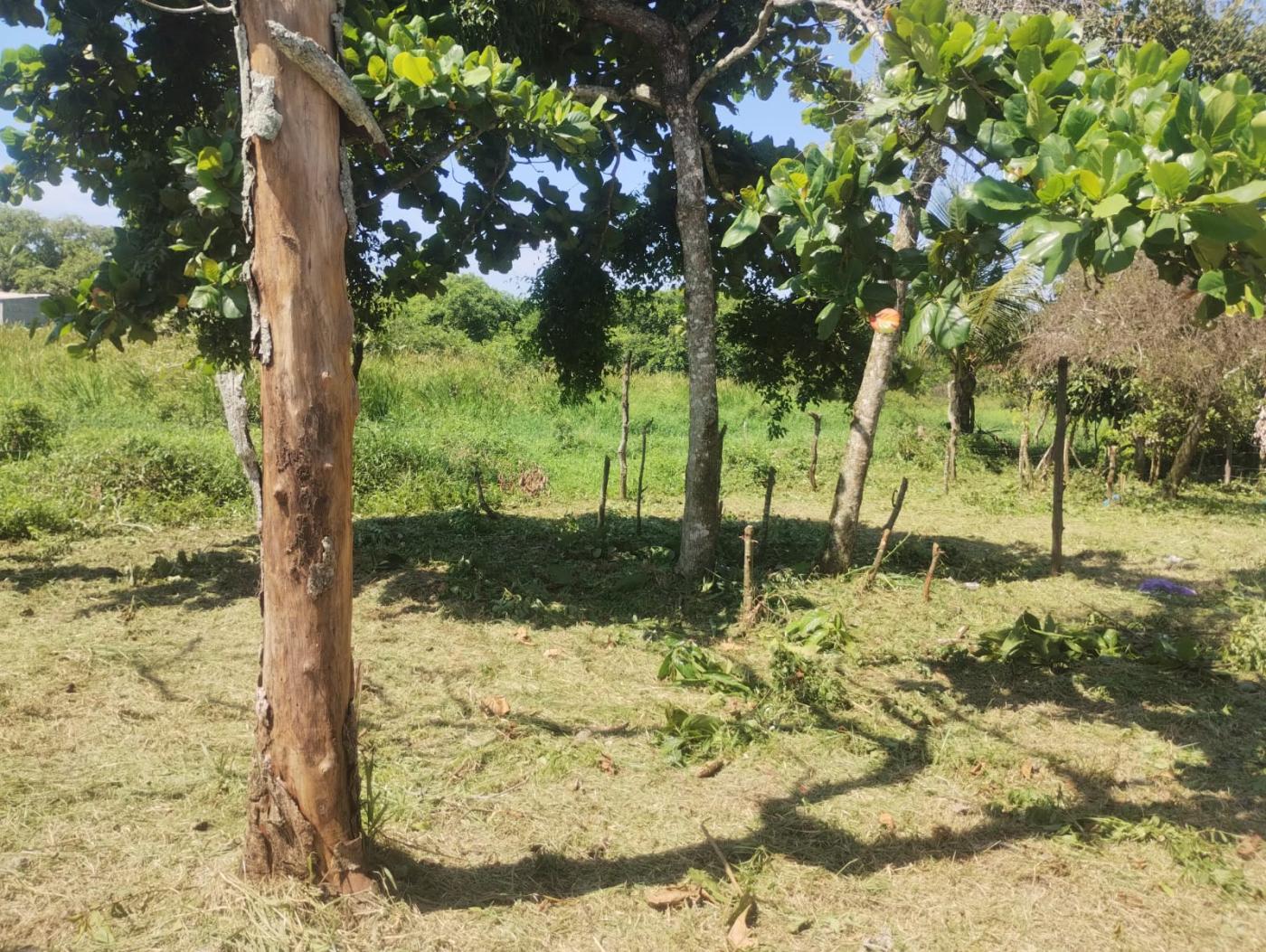 Terreno, 289 m² - Foto 8