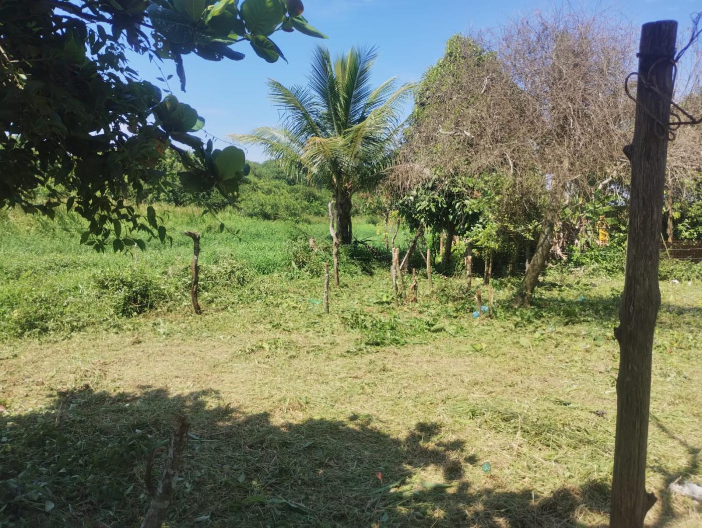 Terreno, 289 m² - Foto 10