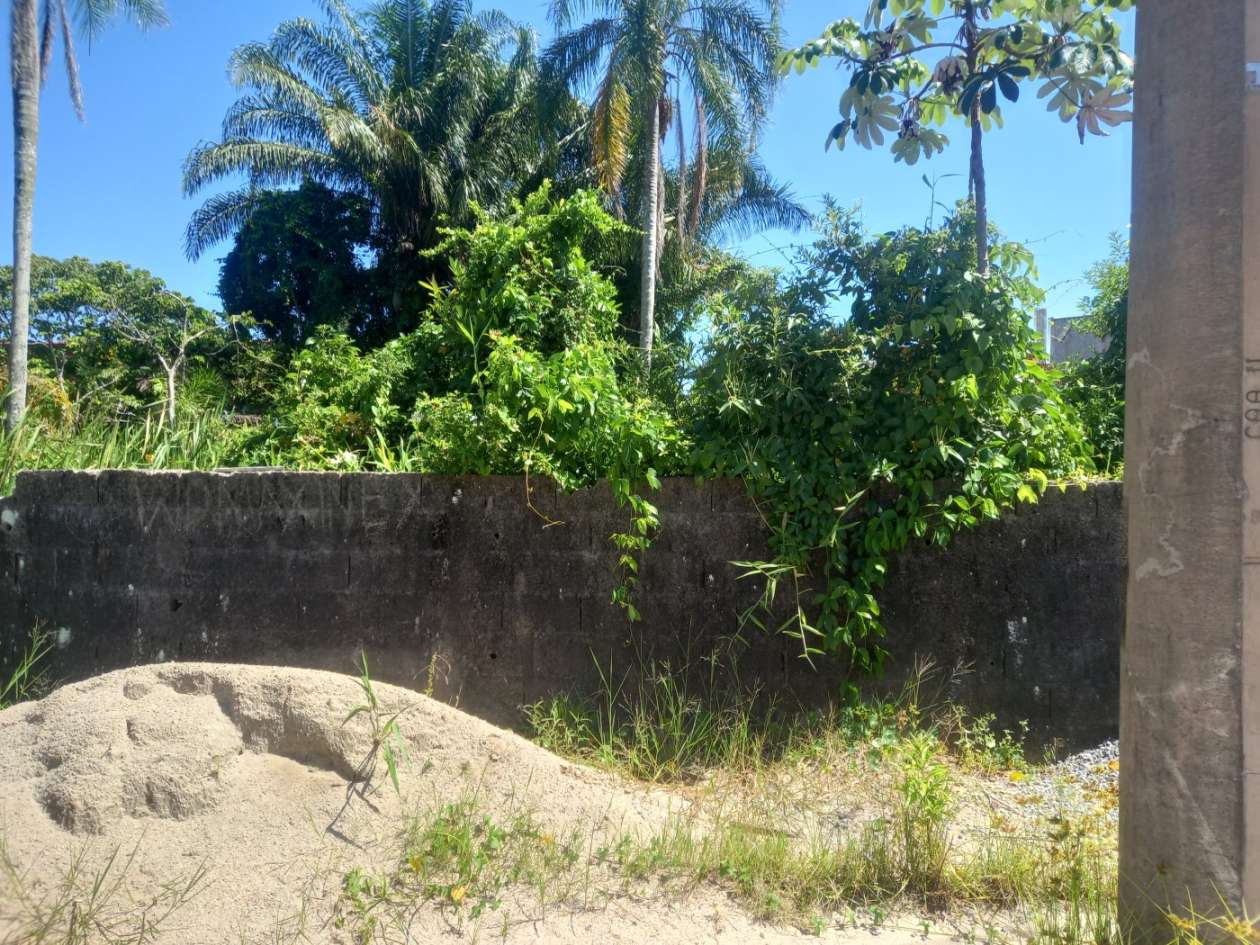 Terreno, 307 m² - Foto 3