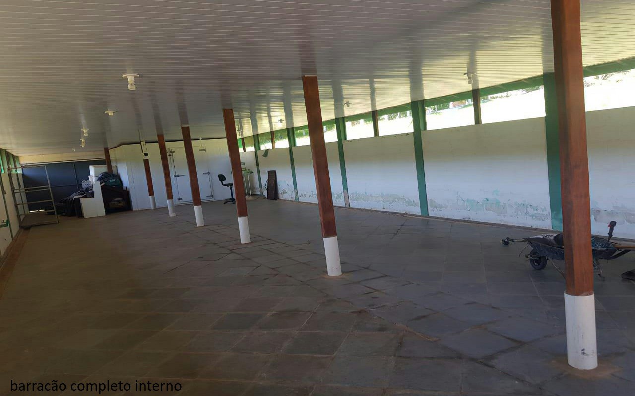 Sítio, 7 quartos, 2 hectares - Foto 4