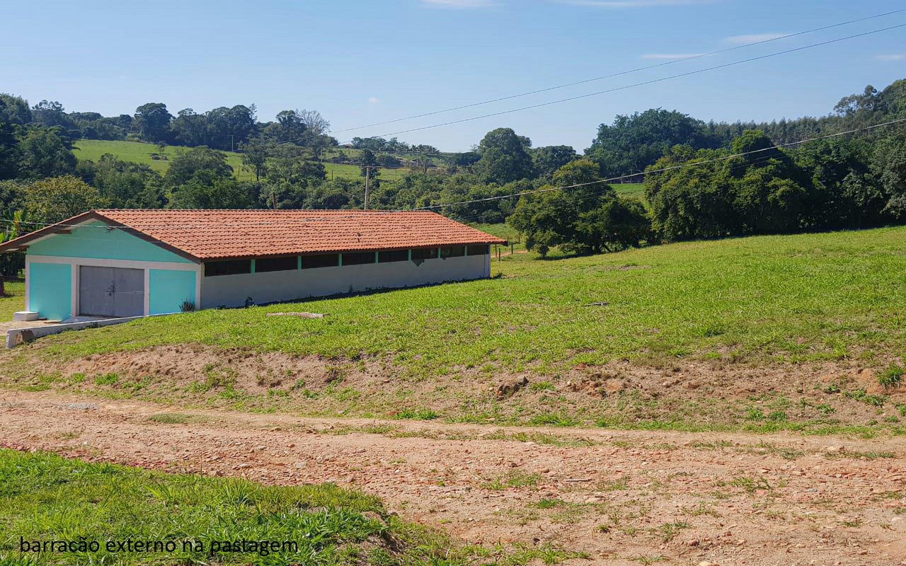 Sítio, 7 quartos, 2 hectares - Foto 25