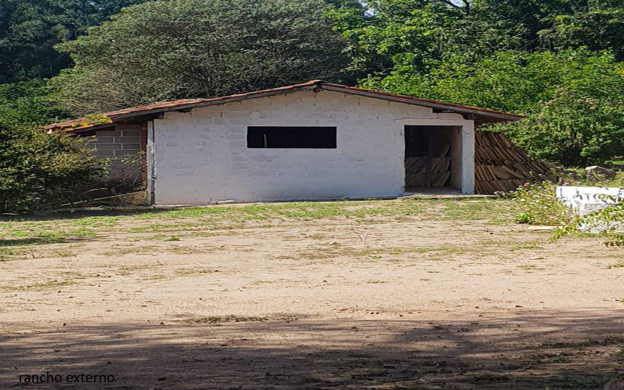 Sítio, 7 quartos, 2 hectares - Foto 30