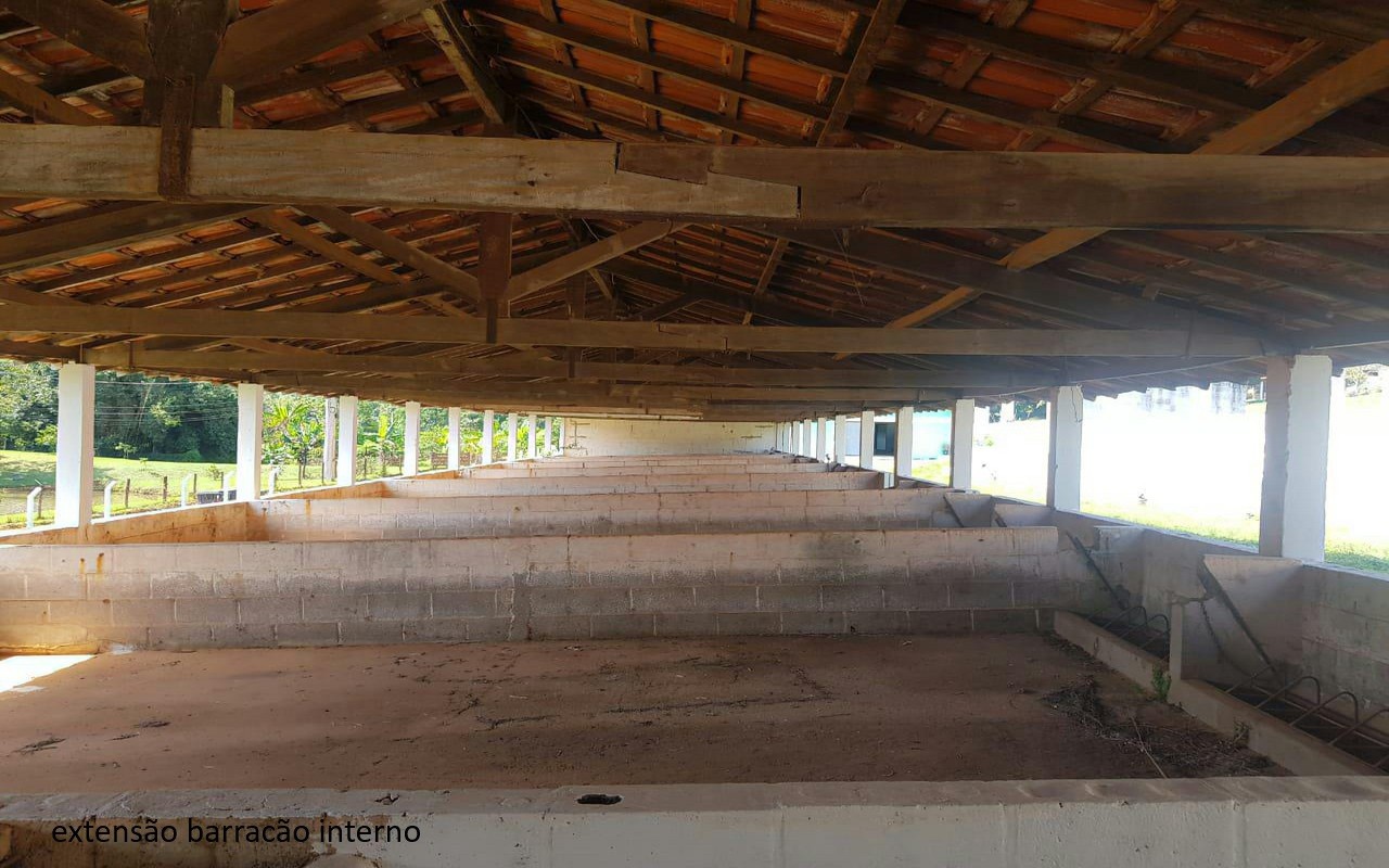 Sítio, 7 quartos, 2 hectares - Foto 33