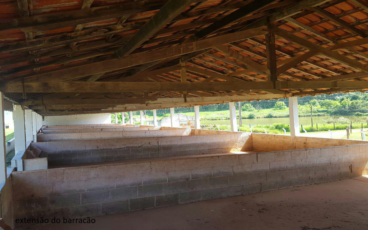 Sítio, 7 quartos, 2 hectares - Foto 51