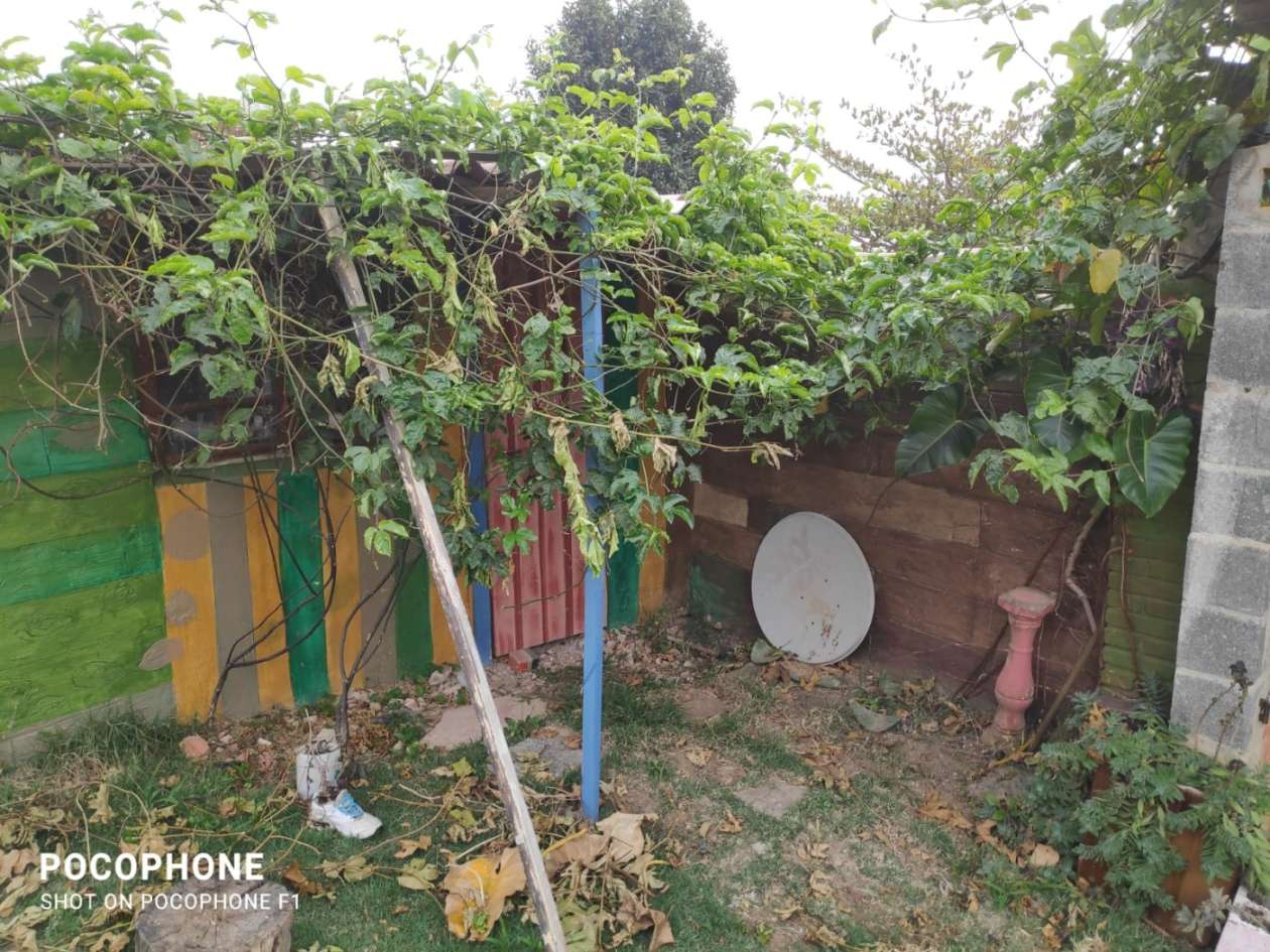 Chácara, 3 quartos, 1200 m² - Foto 3