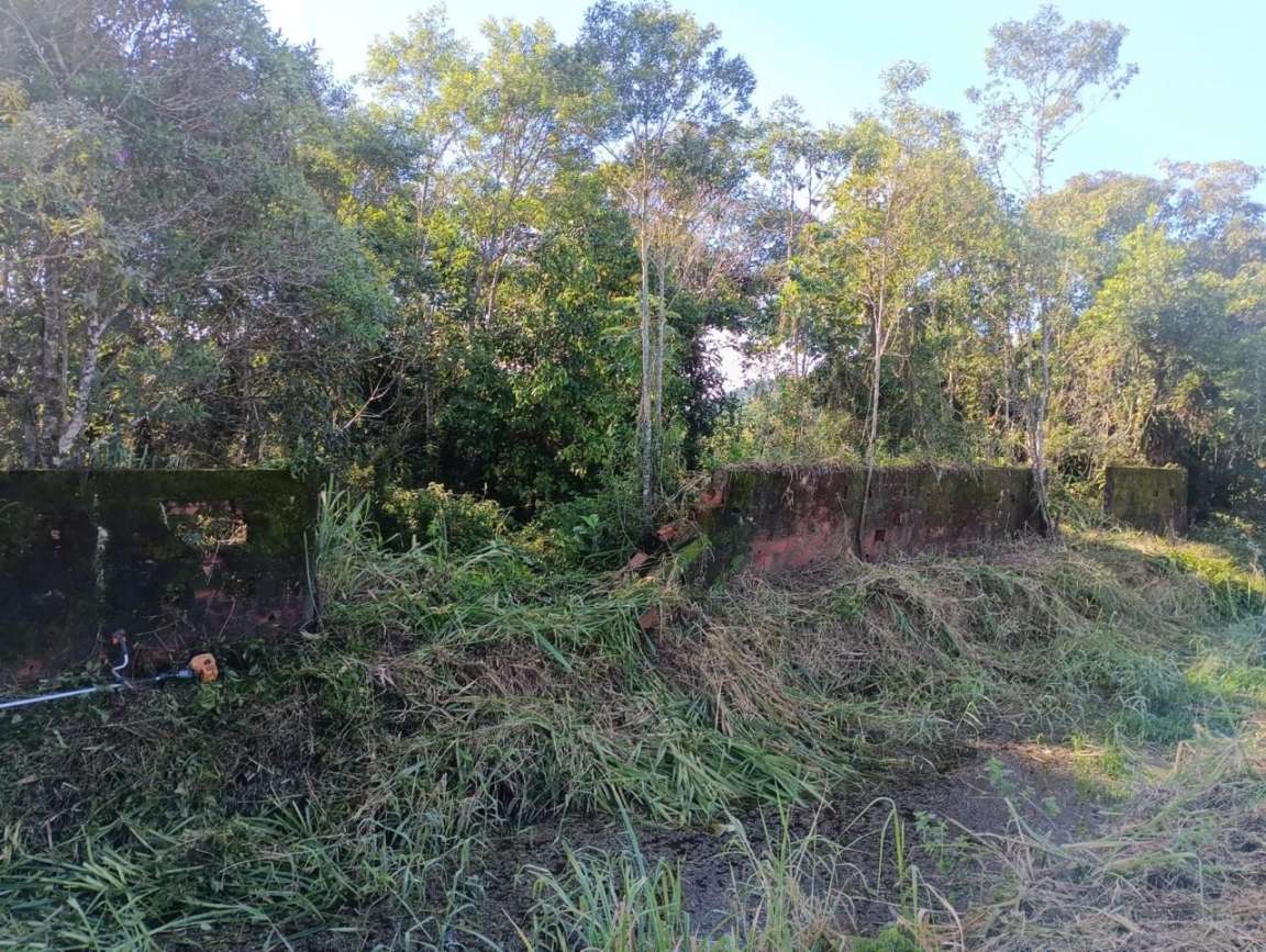 Terreno, 5000 m² - Foto 2