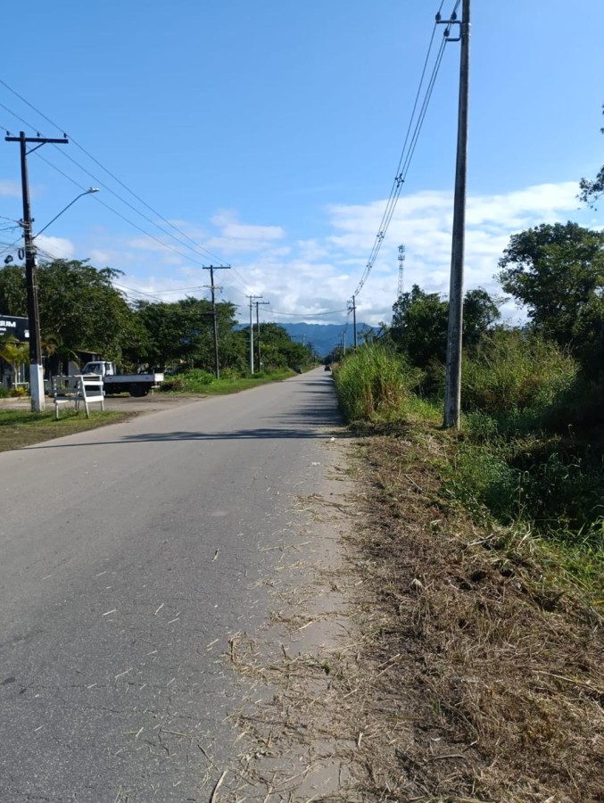 Terreno, 5000 m² - Foto 3