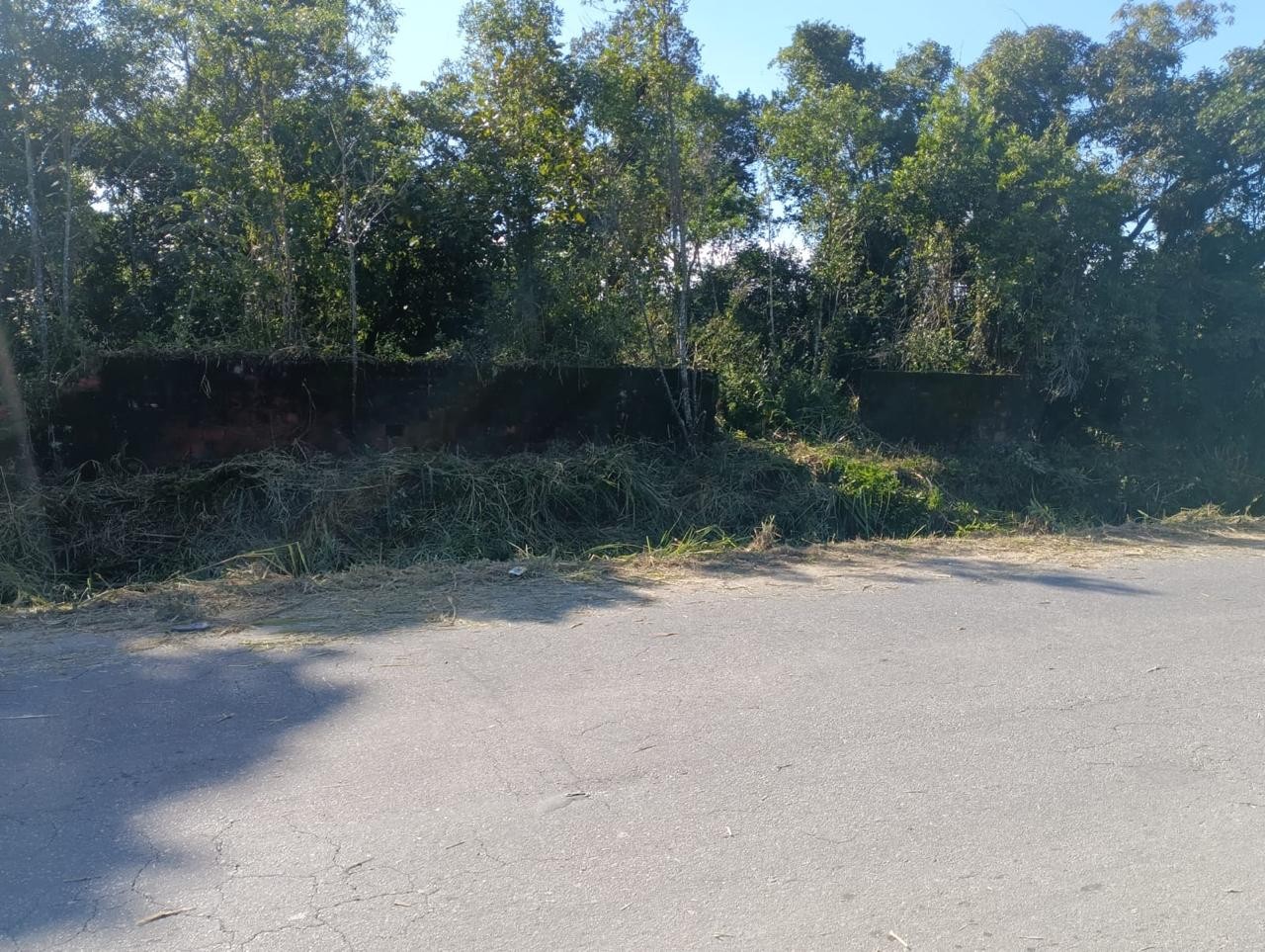 Terreno, 5000 m² - Foto 4