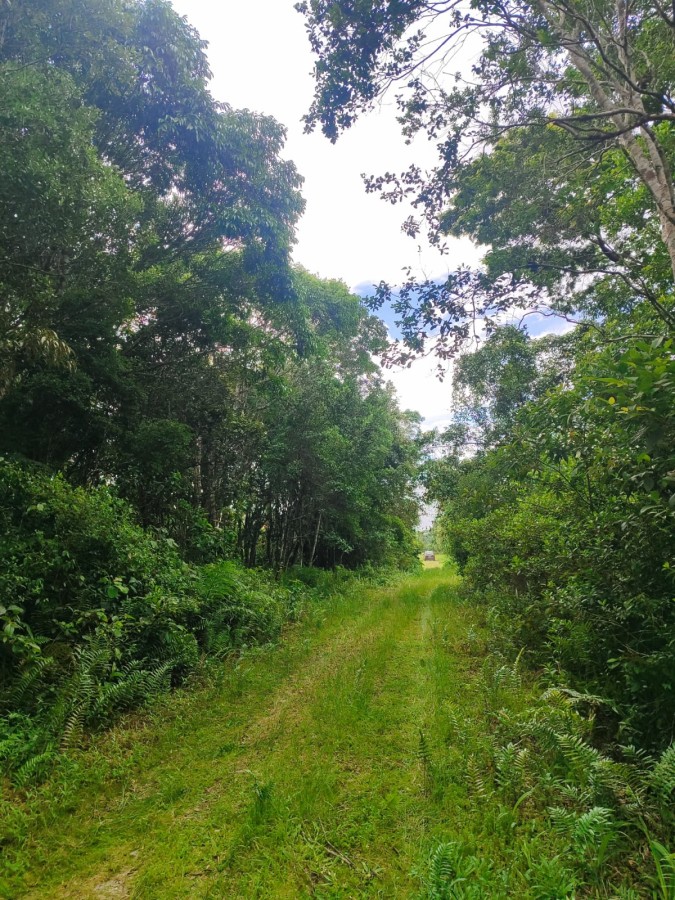 Terreno, 363 m² - Foto 2