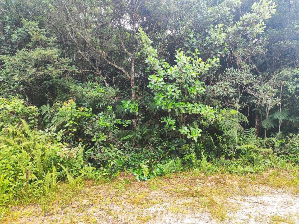 Terreno, 363 m² - Foto 1