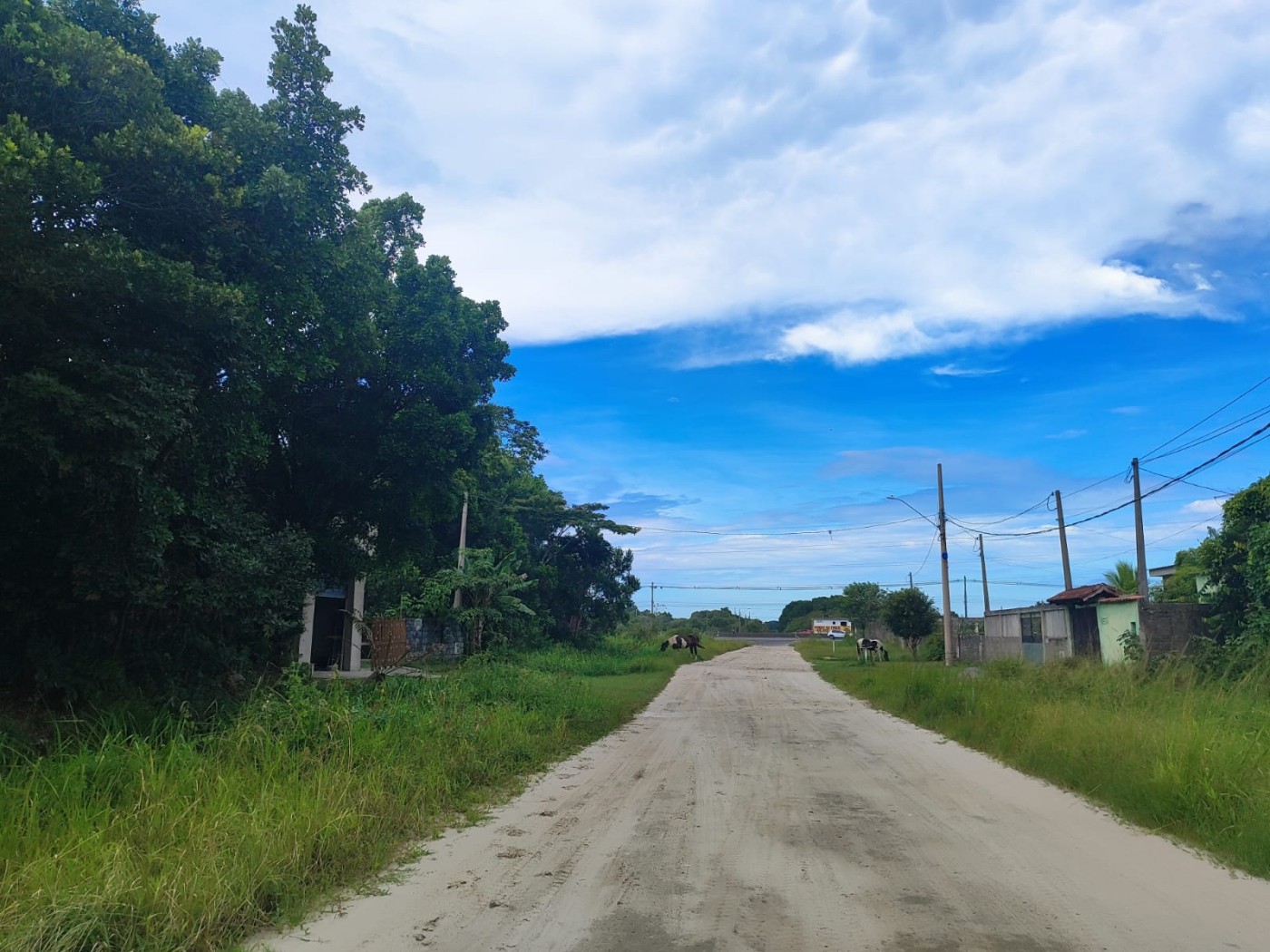 Terreno, 363 m² - Foto 5