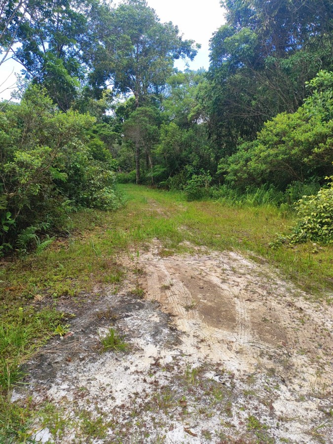 Terreno, 363 m² - Foto 4