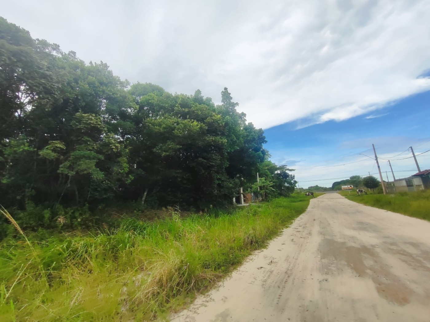 Terreno, 363 m² - Foto 6