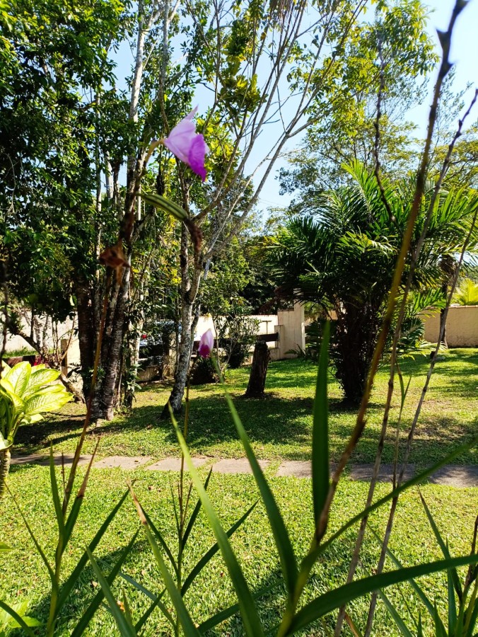 Casa, 3 quartos - Foto 20