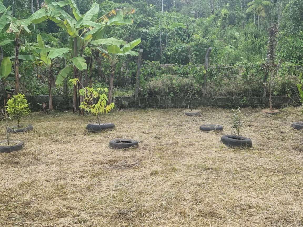 Chácara, 4 quartos, 2500 m² - Foto 21