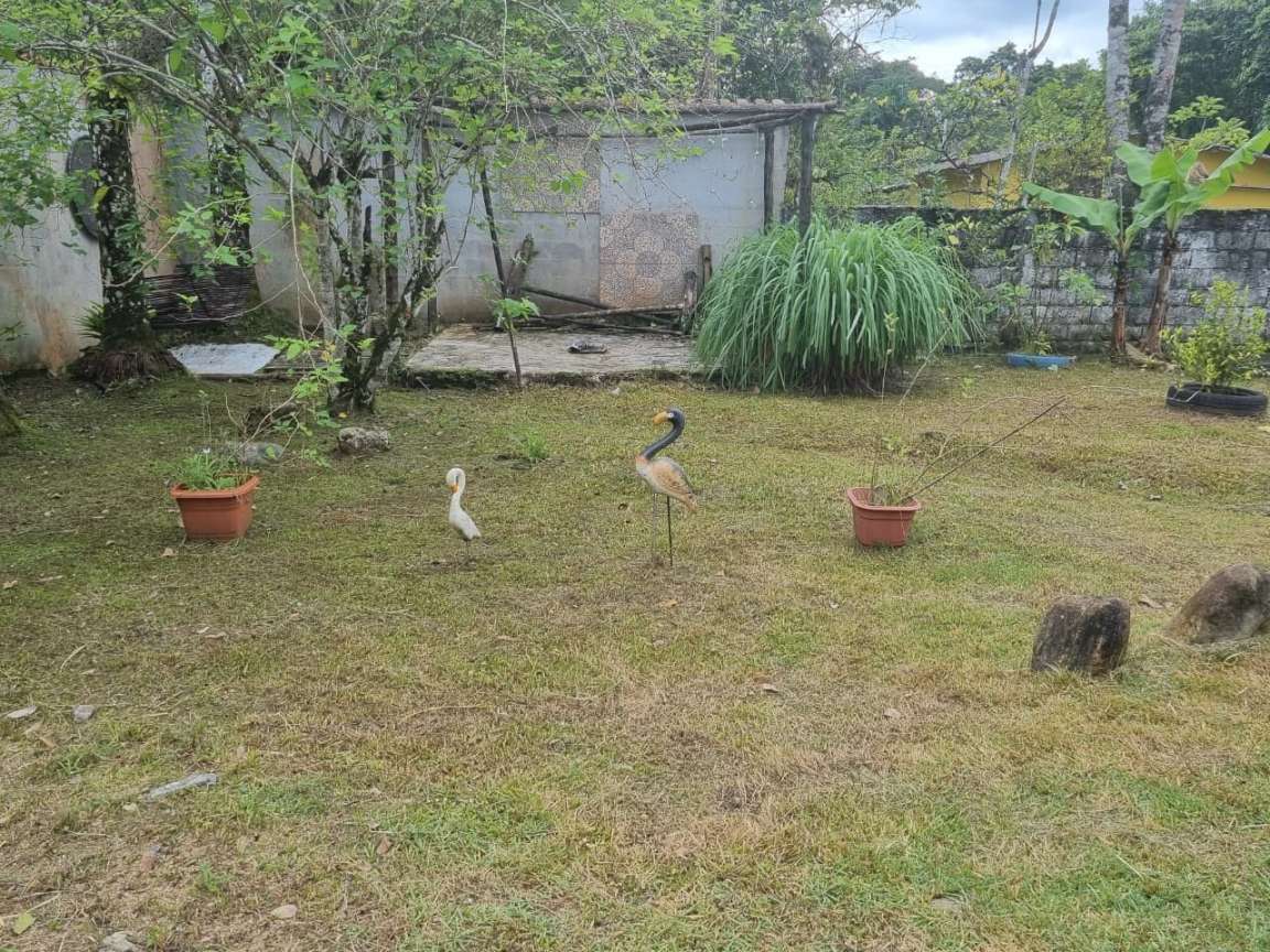 Chácara, 4 quartos, 2500 m² - Foto 41