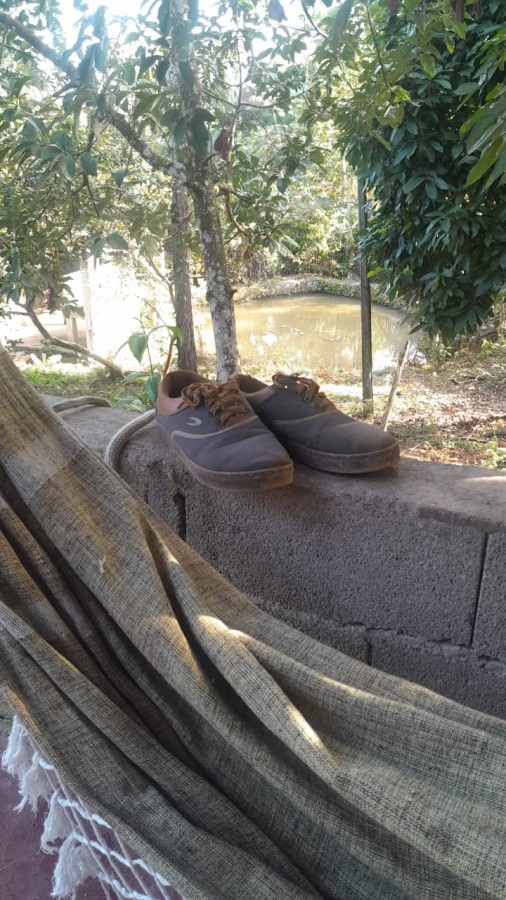 Sítio, 13 hectares - Foto 2