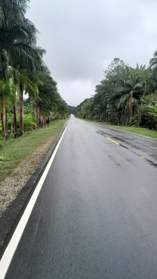 Sítio, 13 hectares - Foto 3