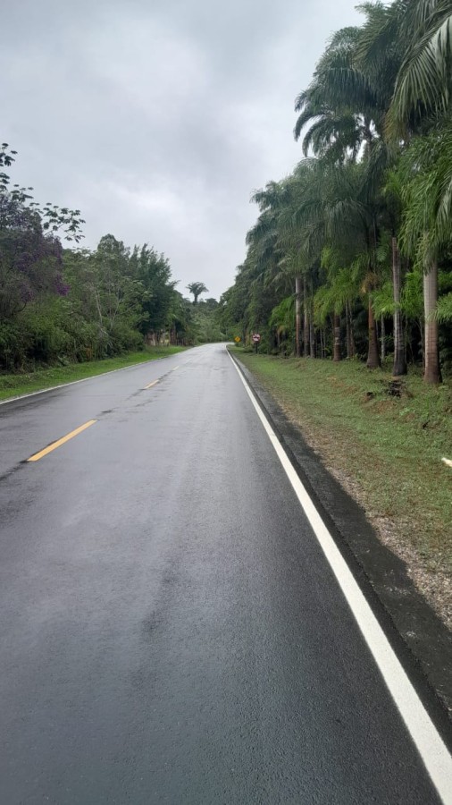 Sítio, 13 hectares - Foto 5