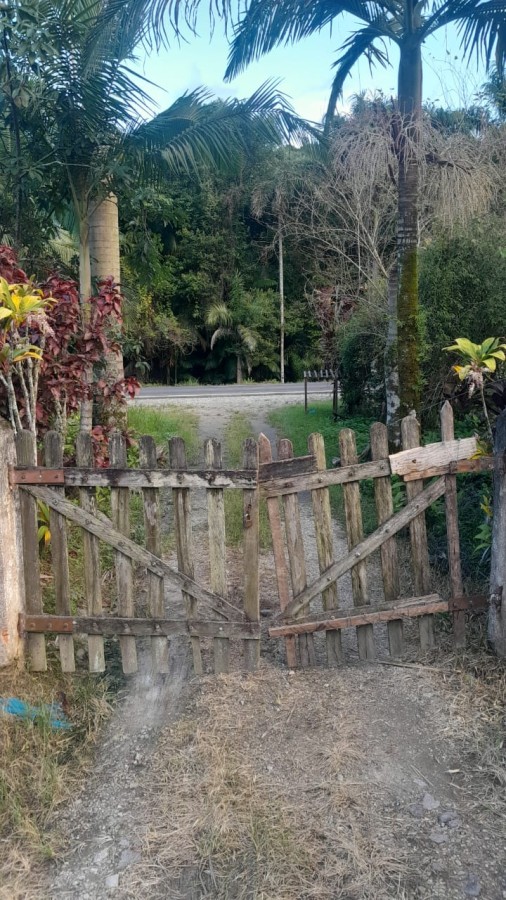 Sítio, 13 hectares - Foto 8