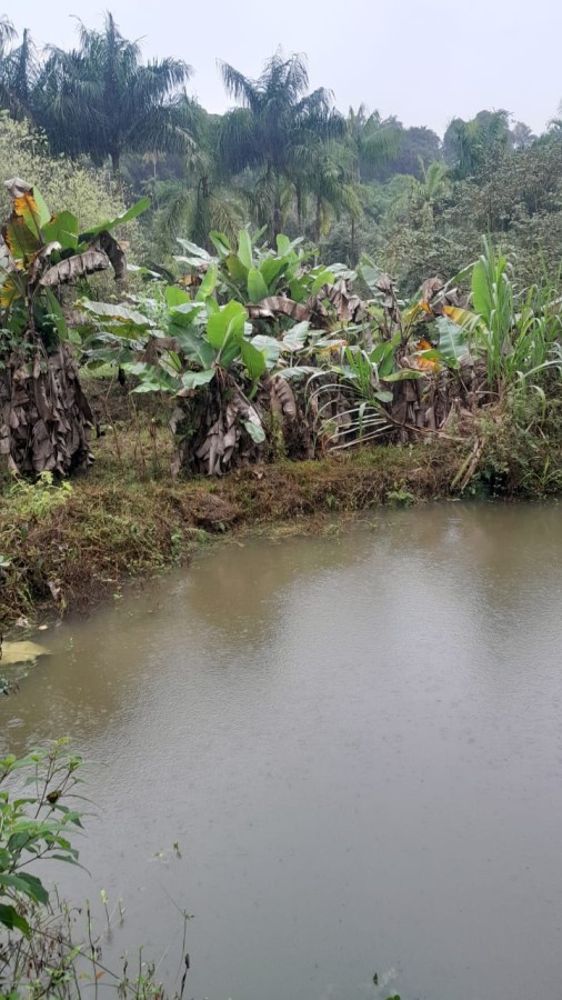 Sítio, 13 hectares - Foto 15