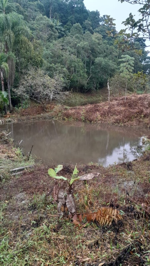 Sítio, 13 hectares - Foto 14