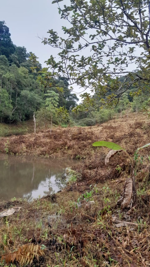 Sítio, 13 hectares - Foto 11