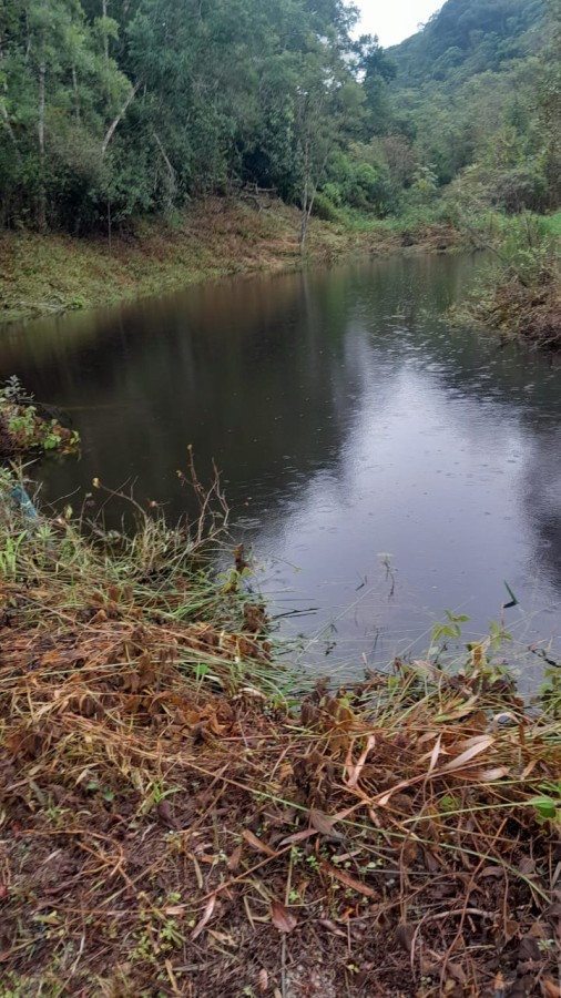 Sítio, 13 hectares - Foto 19