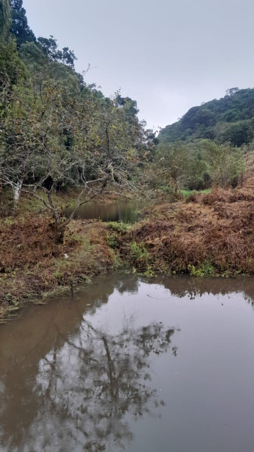 Sítio, 13 hectares - Foto 20