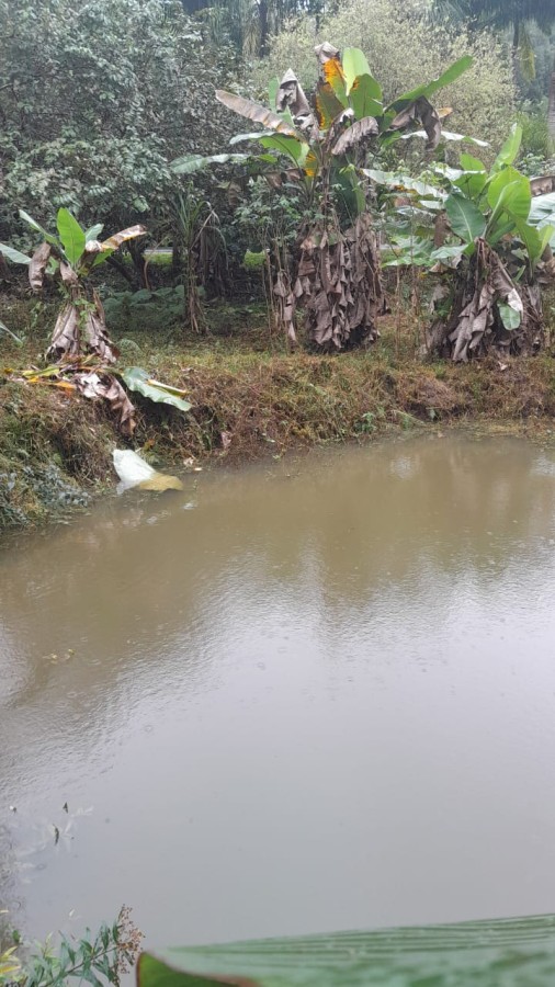 Sítio, 13 hectares - Foto 18