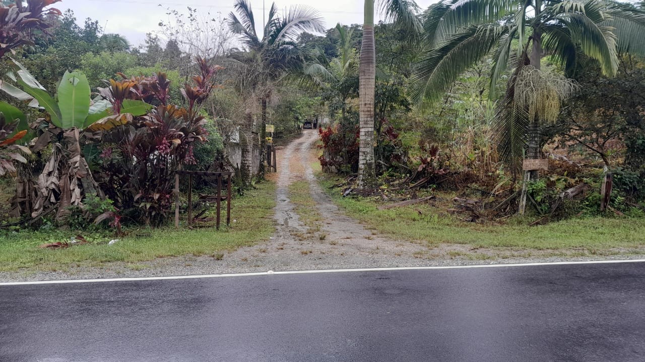 Sítio, 13 hectares - Foto 21