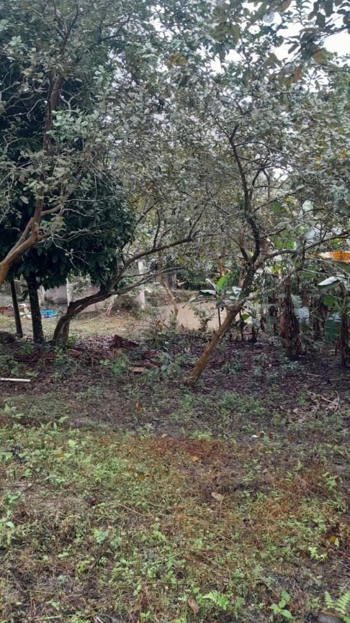 Sítio, 13 hectares - Foto 24