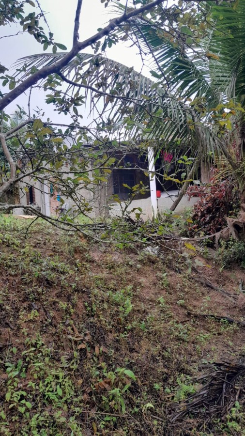 Sítio, 13 hectares - Foto 25