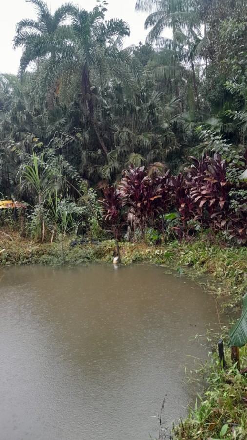 Sítio, 13 hectares - Foto 28