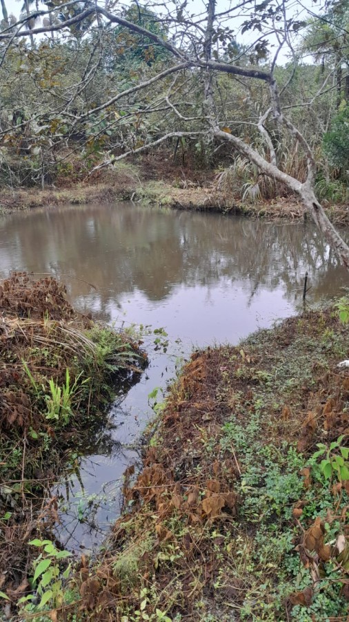 Sítio, 13 hectares - Foto 31