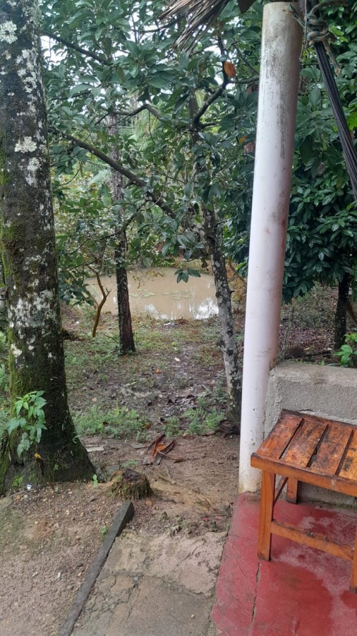 Sítio, 13 hectares - Foto 30