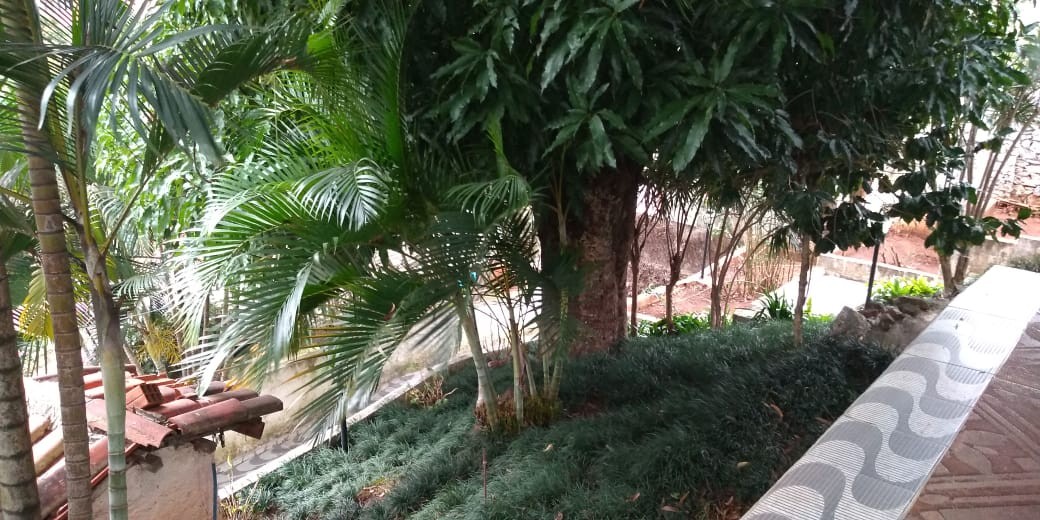 Chácara, 4 quartos, 1000 m² - Foto 20