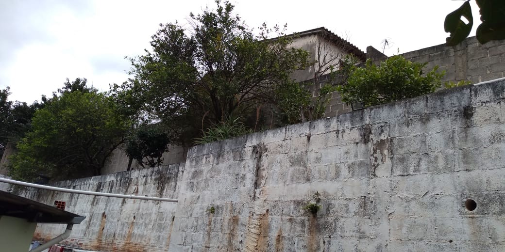 Chácara, 4 quartos, 1000 m² - Foto 23